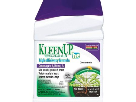 Bonide KleenUp HE Concentrate Supply