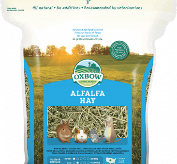 Oxbow Alfalfa Hay Small Pet Food on Sale