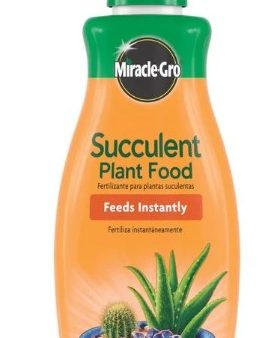 Miracle Gro Succulent Plant Food Discount