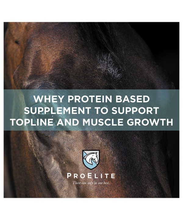 ProElite Top-Line Xtreme Supplement for Horses Hot on Sale