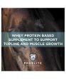 ProElite Top-Line Xtreme Supplement for Horses Hot on Sale