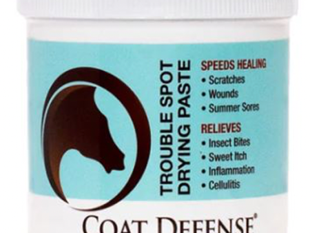 Coat Defense Trouble Spot Drying Horse Paste Sale