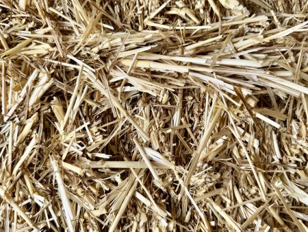 Straw Bale Sale