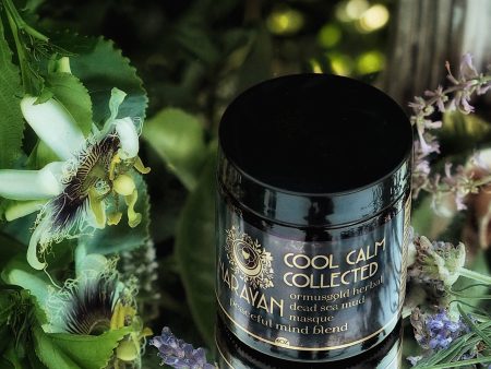 Cool Calm Collected ~ Orme Botanical Mud Masque Hot on Sale