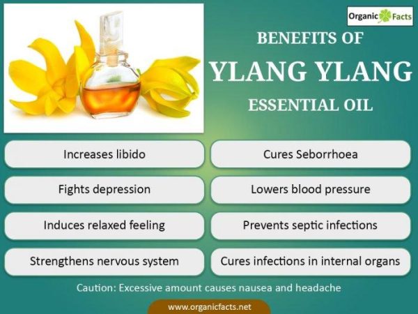 Herbal Choice Mari Organic Ylang Ylang Essential Oil; 0.3floz Glass on Sale