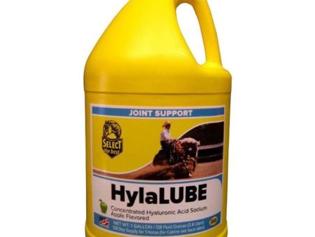 SELECT THE BEST HYLALUBE CONCENTRATE Hot on Sale