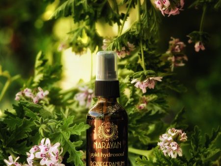 Rose Geranium~Gold Hydrosoul Online