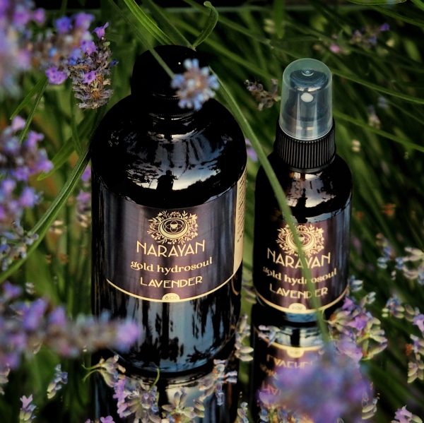 Lavender ~ Gold Hydrosoul Discount