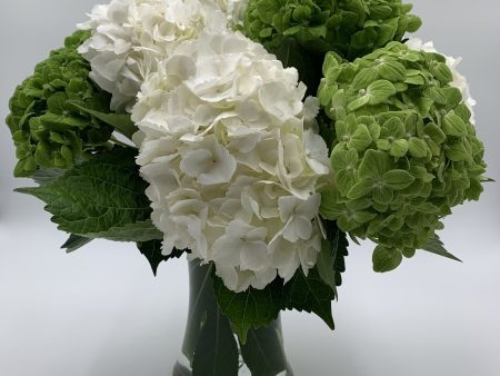 MV51 - The Hydrangea Vase For Cheap