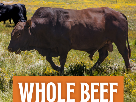 Whole Beef Online Sale