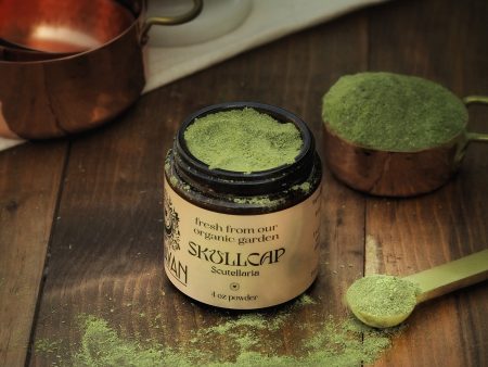 Skullcap ~ Dried & Powdered Hot on Sale