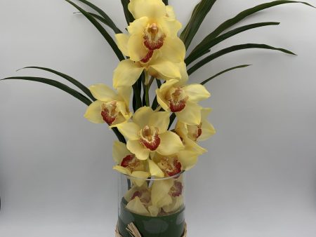 MV126 - Cymbidium Vase Sale