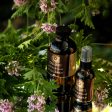 Rose Geranium~Gold Hydrosoul Online