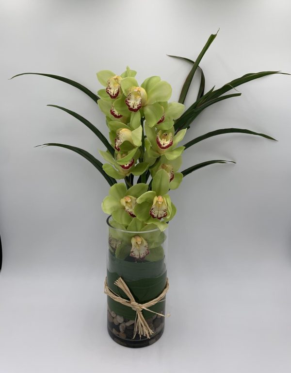 MV126 - Cymbidium Vase Sale