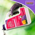 Bonide Rose Shield Systemic Rose and Flower Care Granules, Insectide Plus Fertilizer, 6 lbs. Online Hot Sale