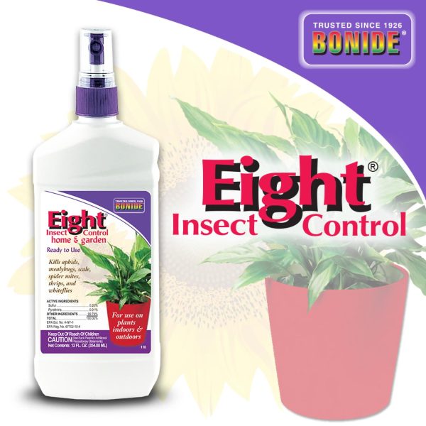 Bonide Eight Houseplant Insect Control, Ready-to-Use, 12 oz. Sale