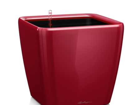 Lechuza Quadro Premium 28 LS Scarlet Red High Gloss Square Planter, 11 x10  Online Sale