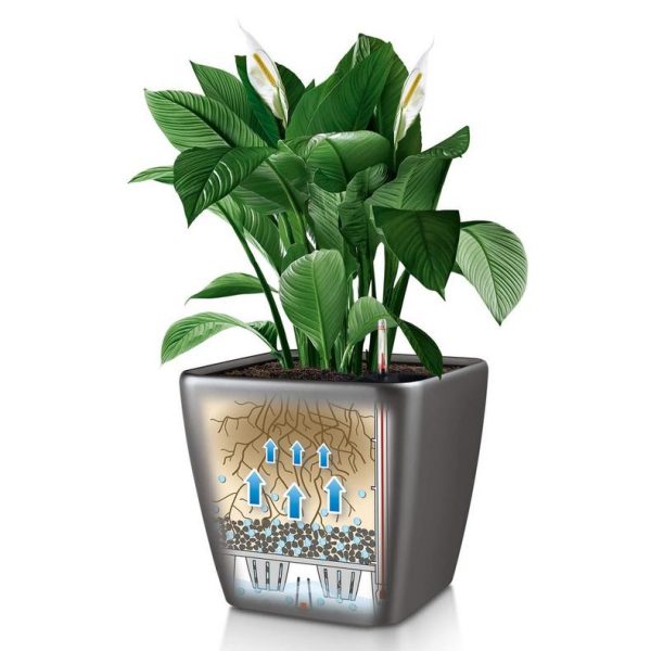 Lechuza Quadro Premium 28 LS Black High Gloss Square Planter, 11 x10  Online now