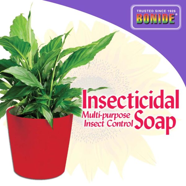 Bonide Insecticidal Soap Houseplant Spray, Ready-to-Use, 12 oz. Online